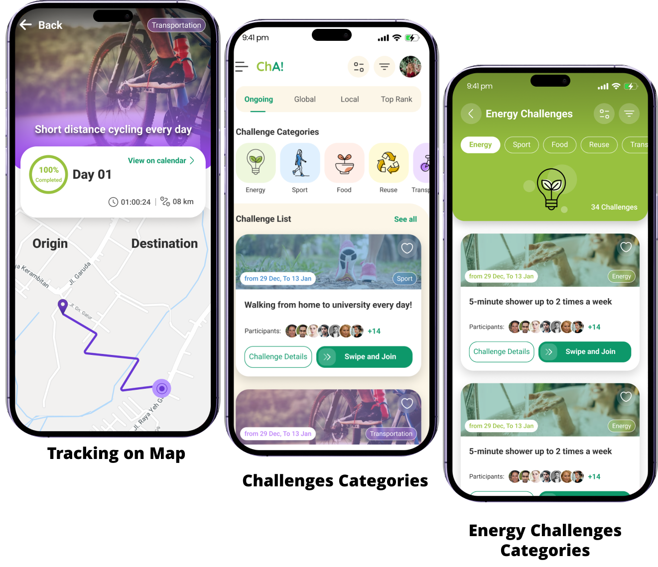 CHA screens overview